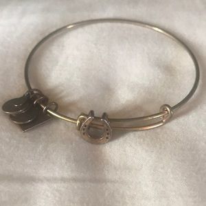 Alex and Ani Kentucky Derby Bracelet